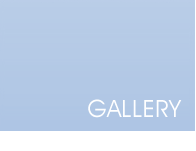 our gallery
