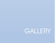 our gallery